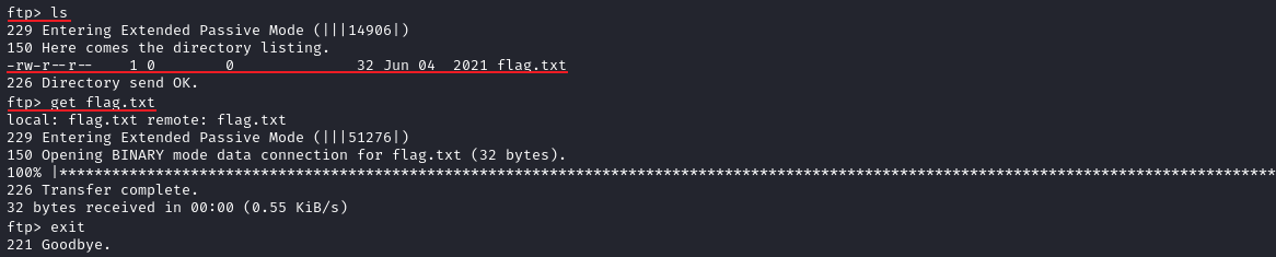 Descagar archivo ftp